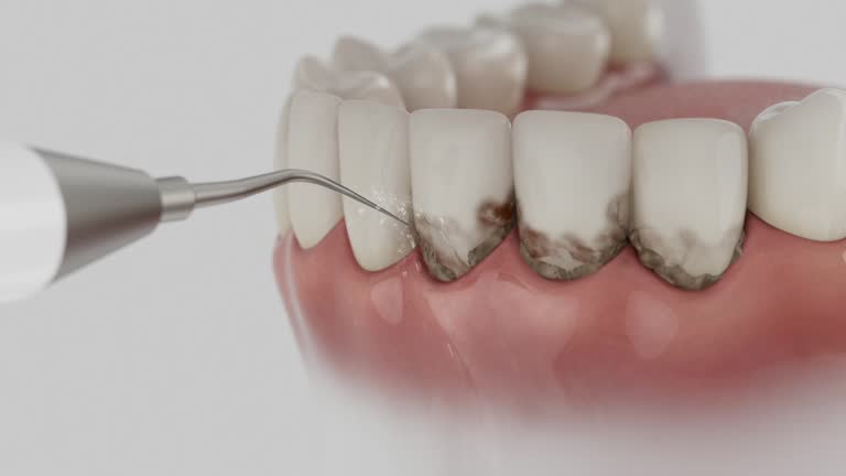 Reliable Dental contractor in Decatur, TN by Dentist Open Now